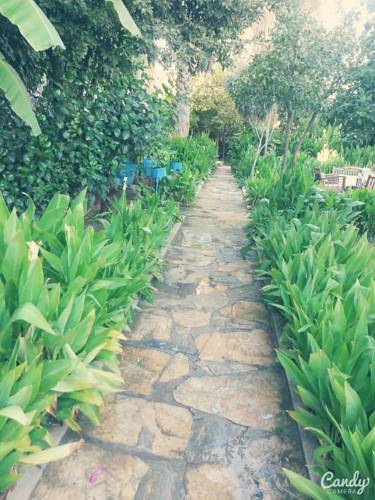 Peda Hotels Blue Bodrum Beach Exterior foto